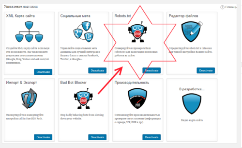 Файл robots.txt создается при помощи плагина All in One SEO Pack